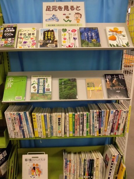 足元を見てみると