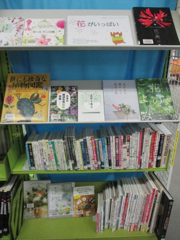 南浦和一般展示