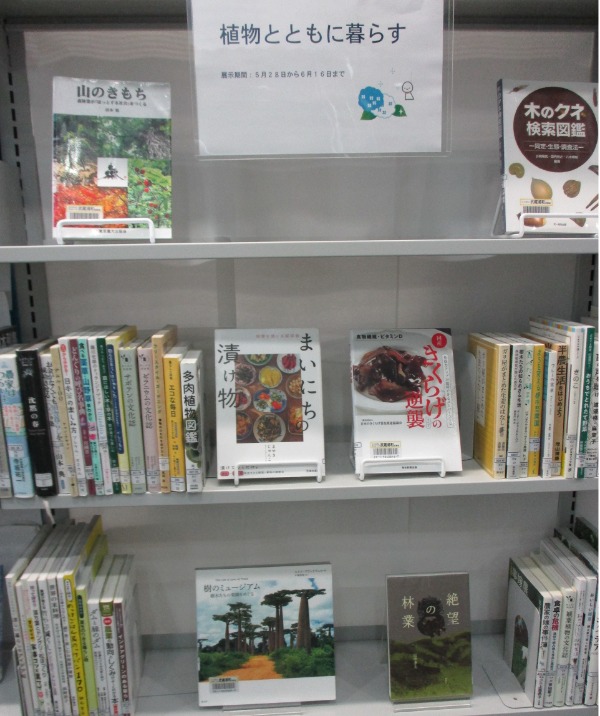 武蔵浦和一般展示