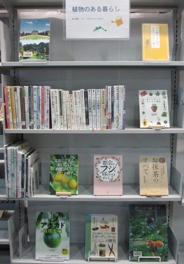 武蔵浦和特集展示