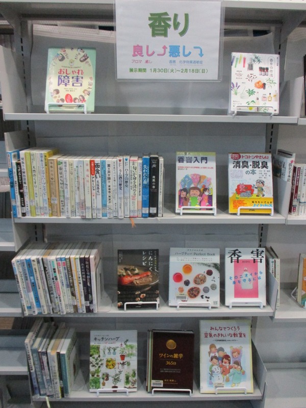 武蔵浦和特集展示