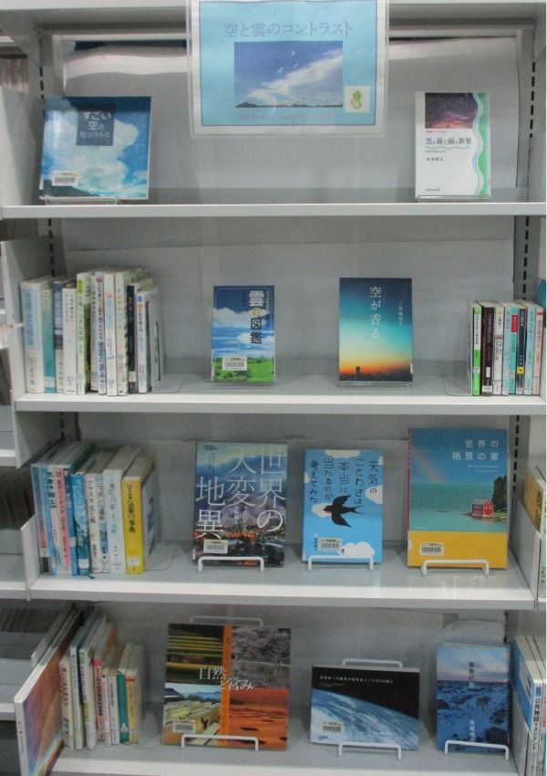 武蔵浦和特集展示