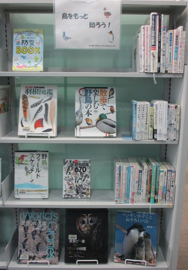 武蔵浦和一般展示