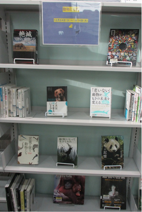 武蔵浦和特集展示