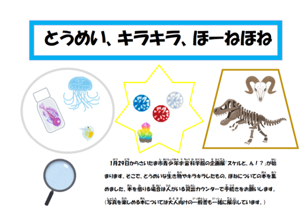 展示とうめい、キラキラ、ほーねほね