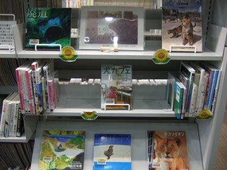 武蔵浦和図書館一般展示の写真です。