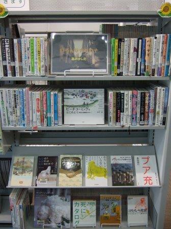 武蔵浦和図書館一般展示の写真です。