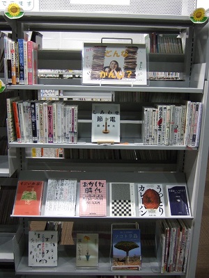 武蔵浦和図書館一般展示の写真です。