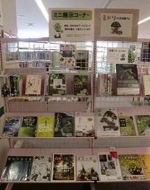 ミドリのある暮らし