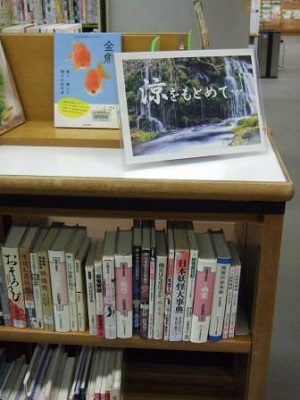 南浦和図書館展示の写真です。