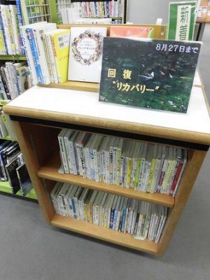 南浦和図書館展示の写真です。