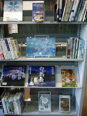 武蔵浦和図書館一般展示の写真です。
