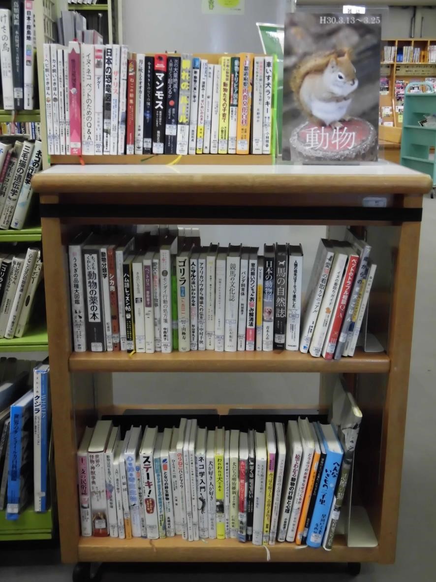 南浦和図書館展示の写真です。