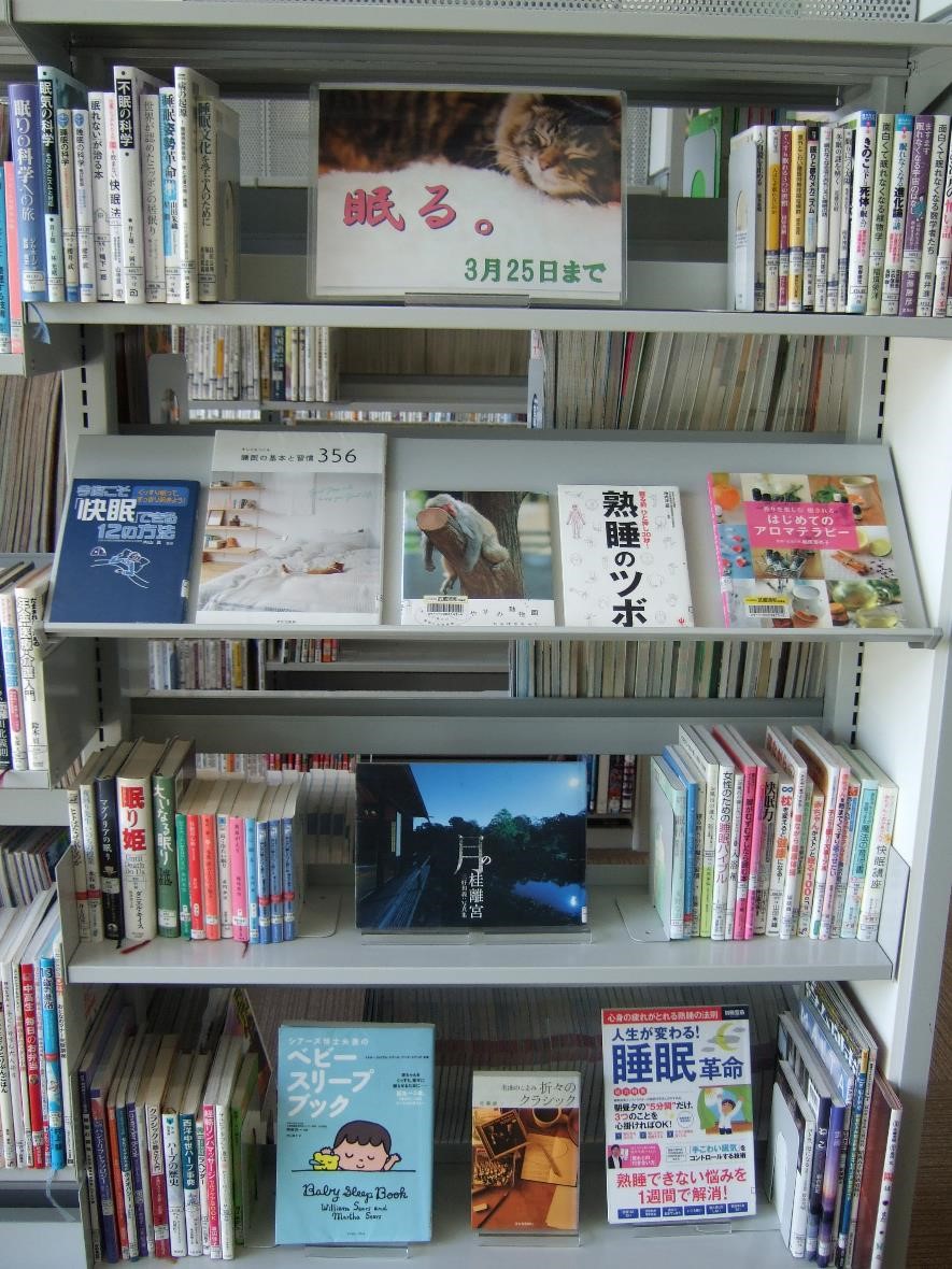 武蔵浦和図書館一般展示の写真です。