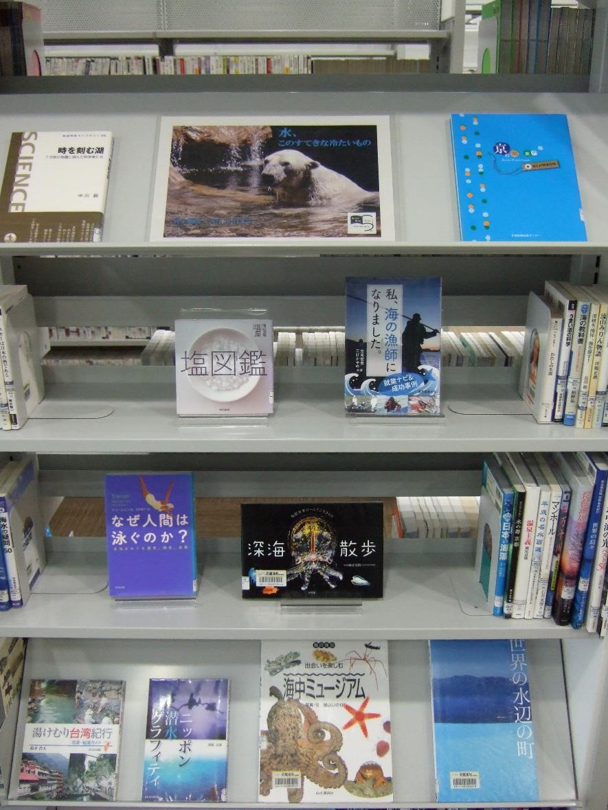 武蔵浦和図書館一般展示の写真です。