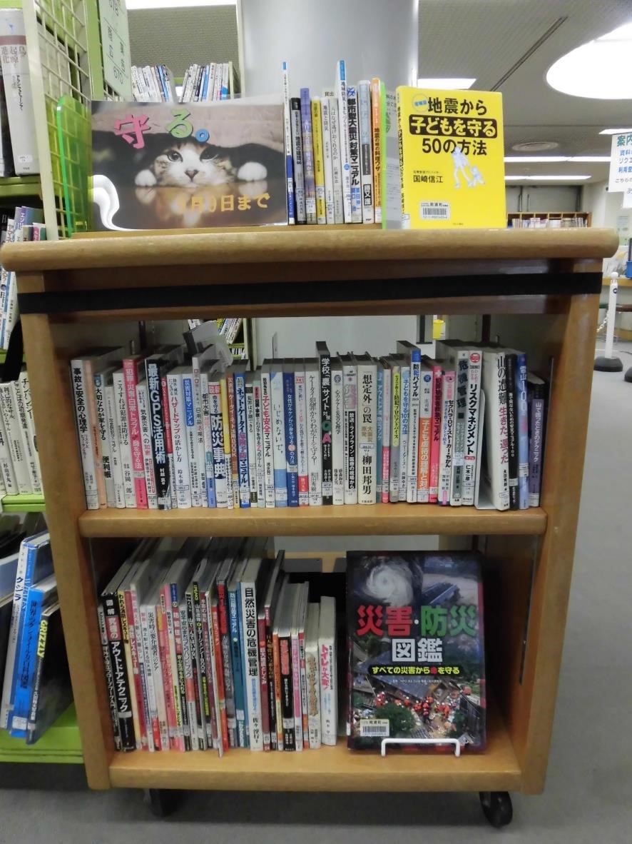 南浦和図書館展示の写真です。