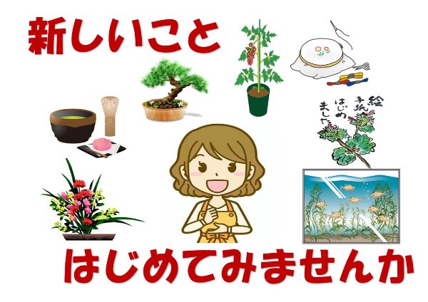 新しいこと、はじめてみませんか