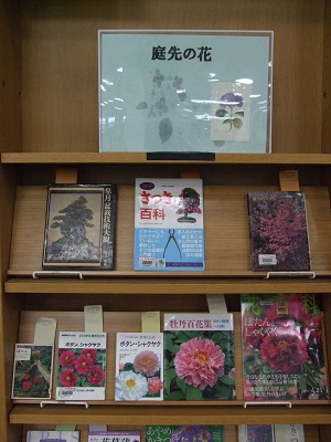 展示風景