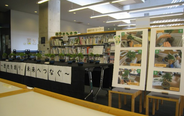 植竹小学校盆栽展示