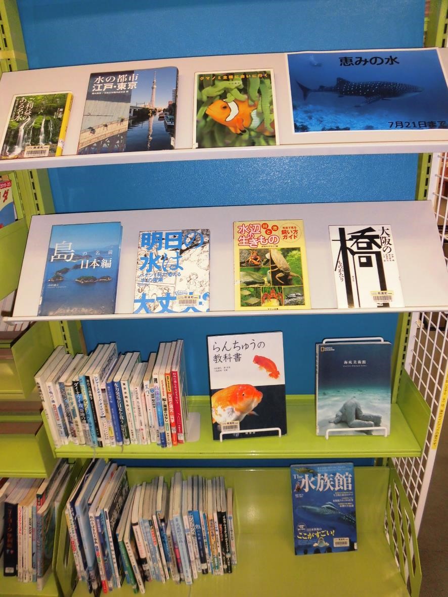 南浦和図書館展示の写真です。