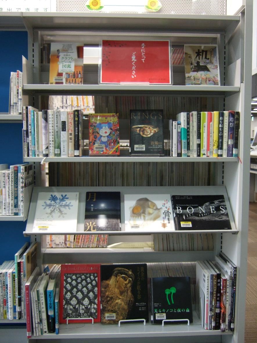 武蔵浦和図書館一般展示の写真です。
