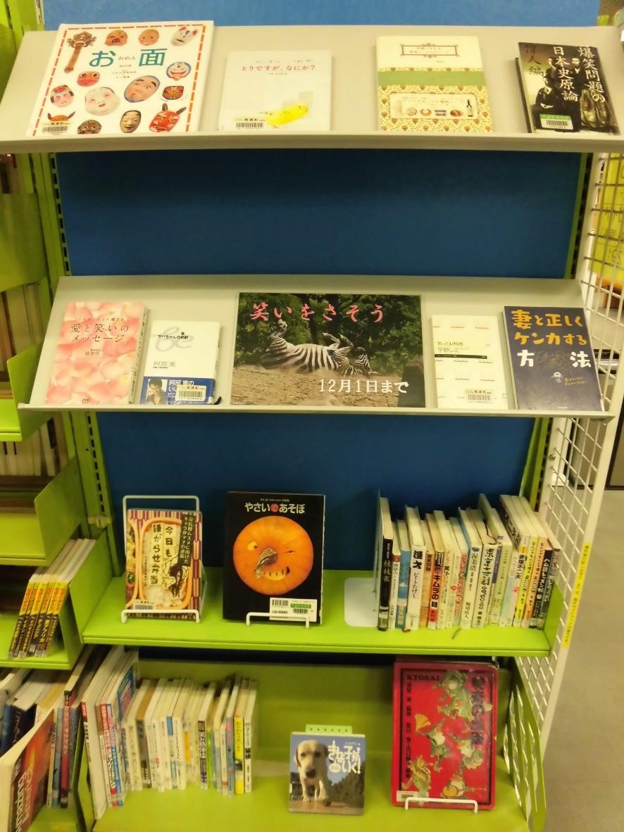 南浦和図書館展示の写真です。