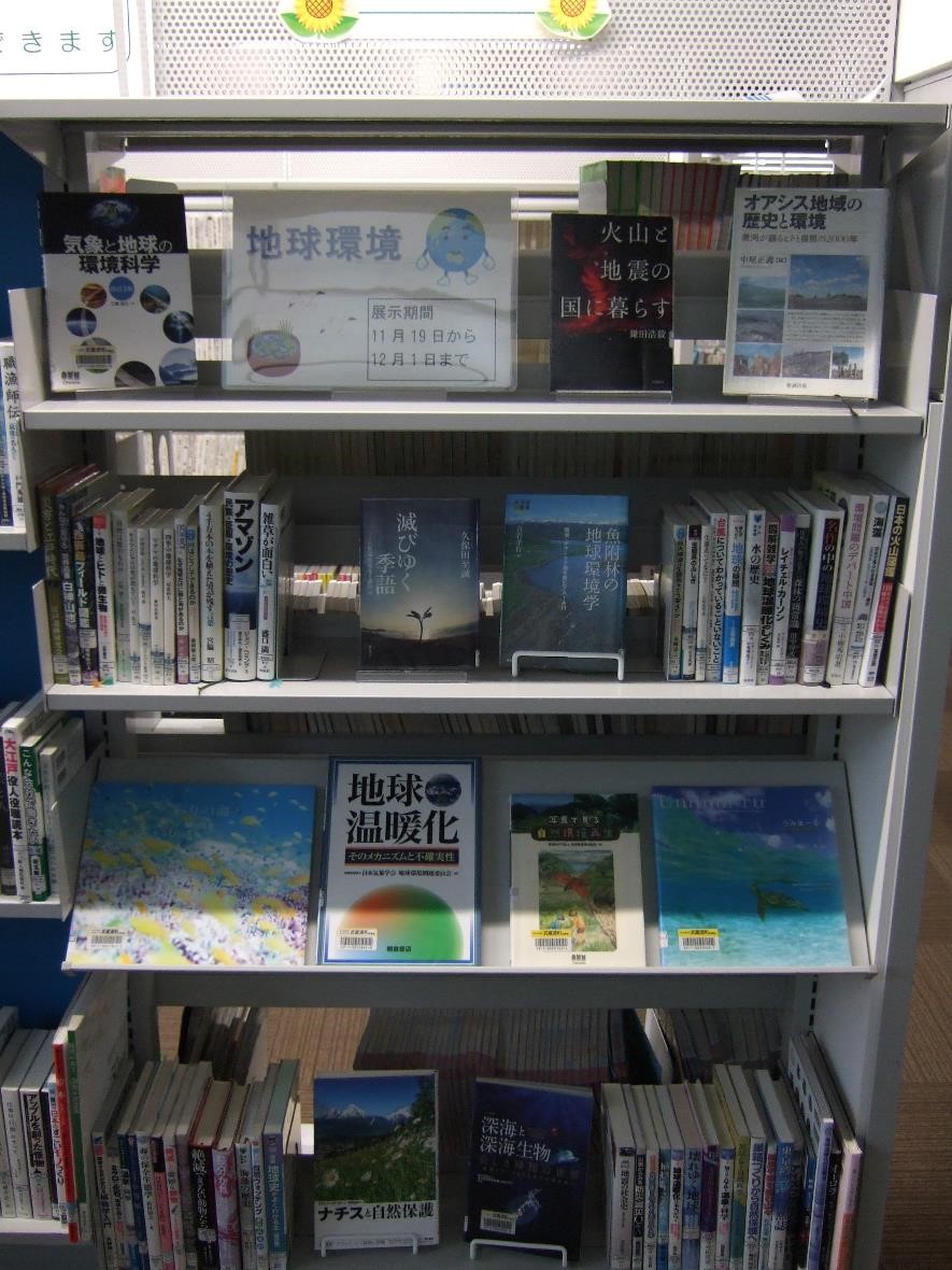 武蔵浦和図書館一般展示の写真です。
