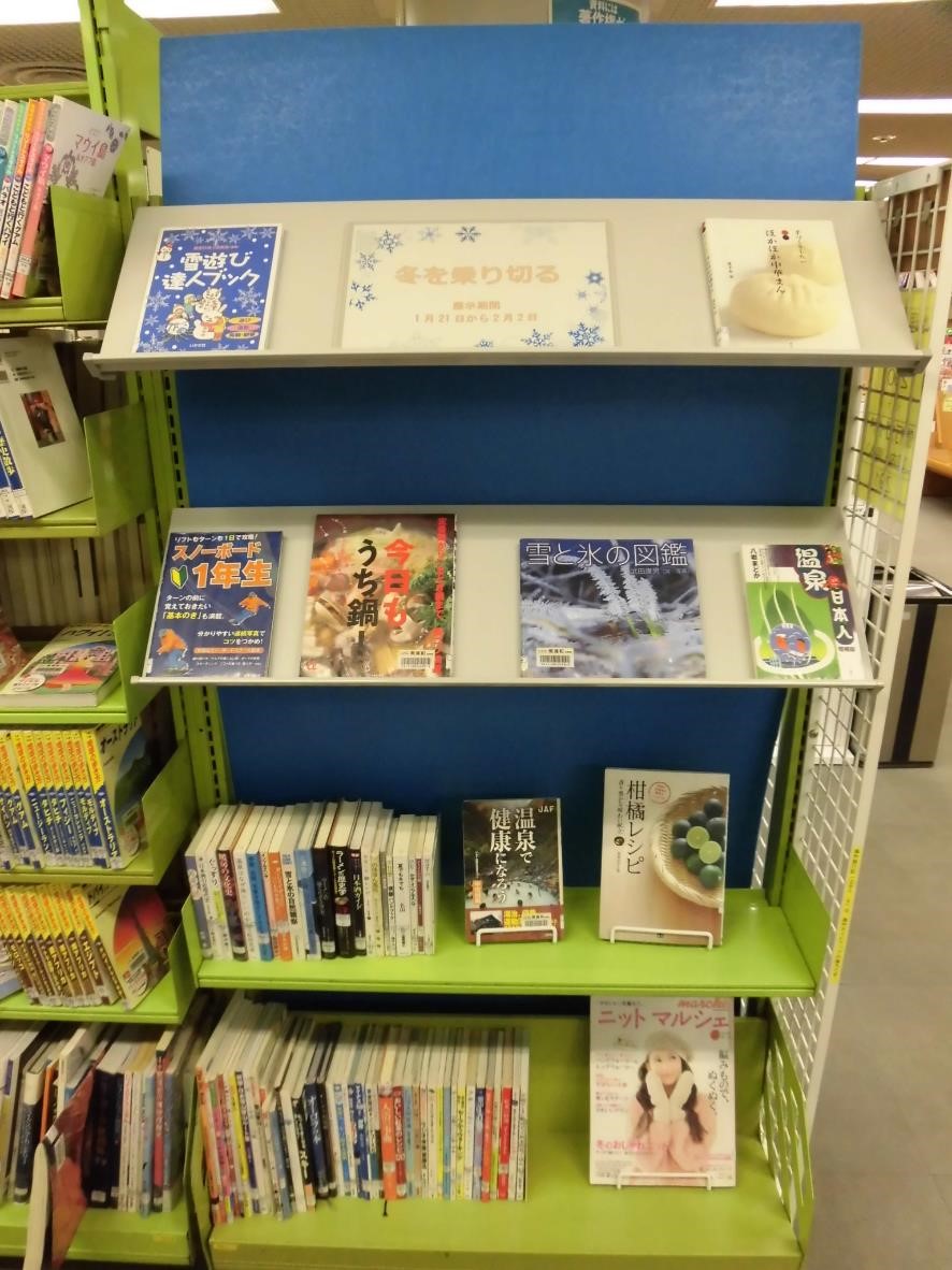 南浦和図書館展示の写真です。