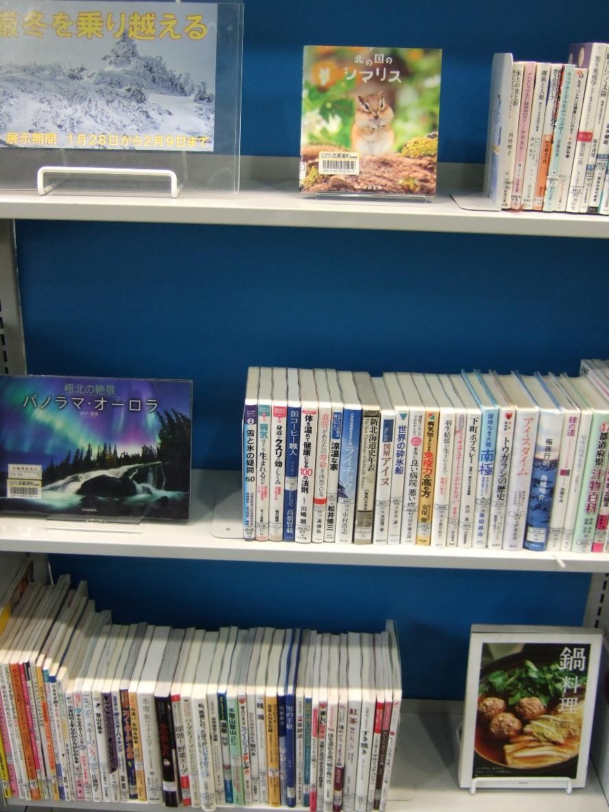 武蔵浦和図書館特集展示の写真です。