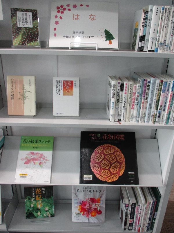 武蔵浦和図書館一般展示の写真です。