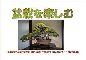 盆栽を楽しもう展示看板