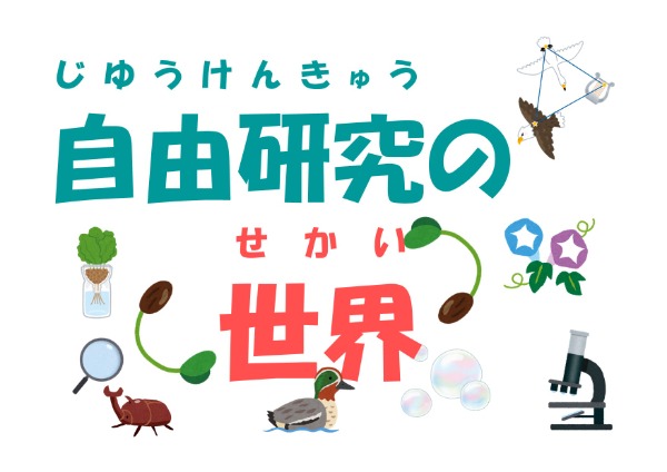 自由研究
