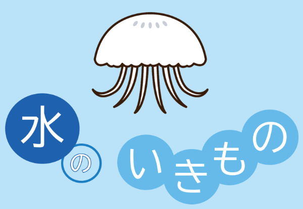 水のいきもの