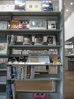 武蔵浦和図書館　2階展示コーナー