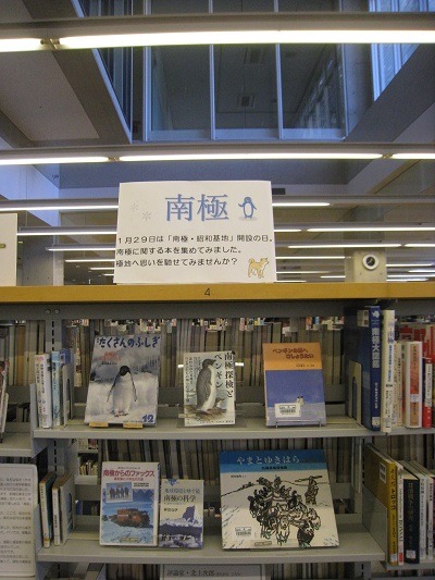 なんきょく