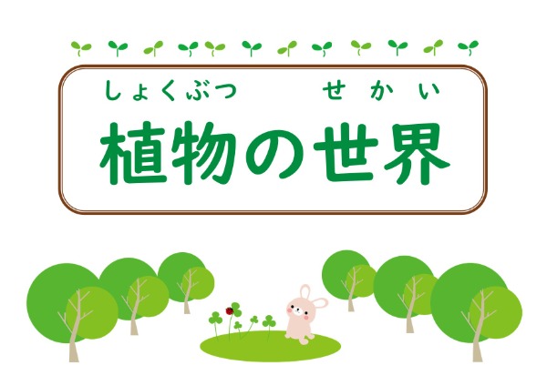 与野児童展示　植物の世界