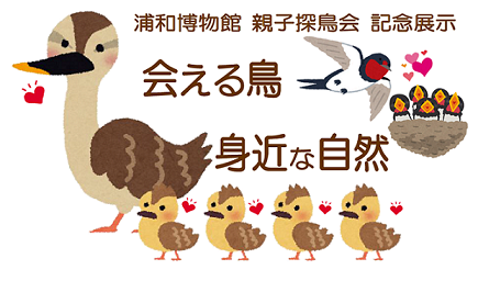 浦和博物館　親子探鳥会　記念展示　会える鳥　身近な自然