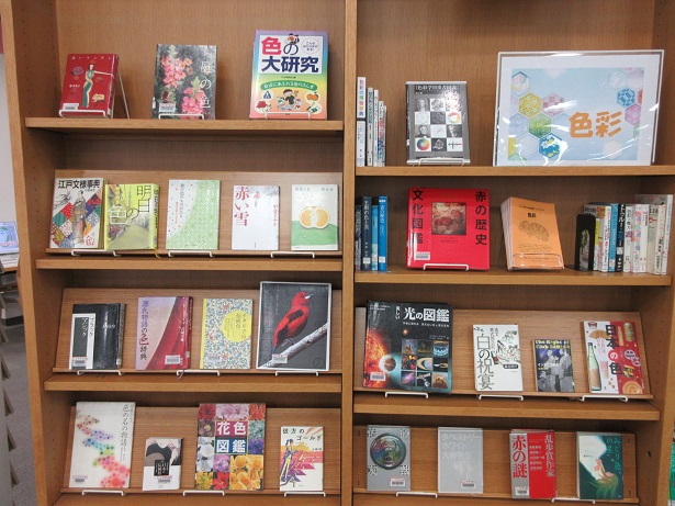 色彩展示画像1