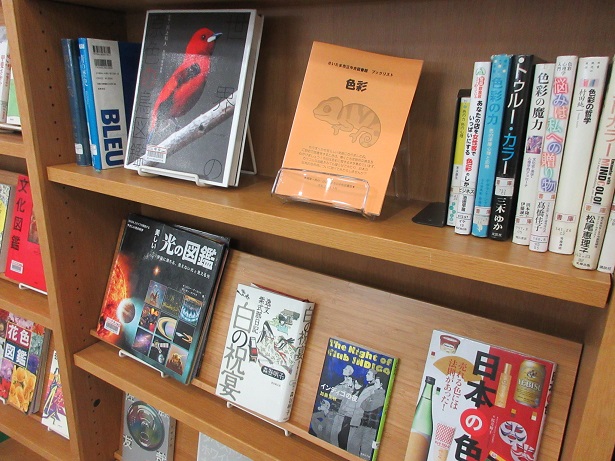 色彩展示画像2