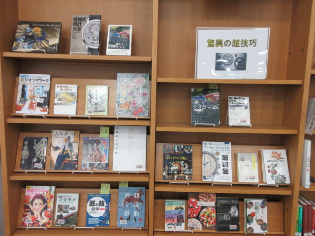 驚異の超技巧展示画像1